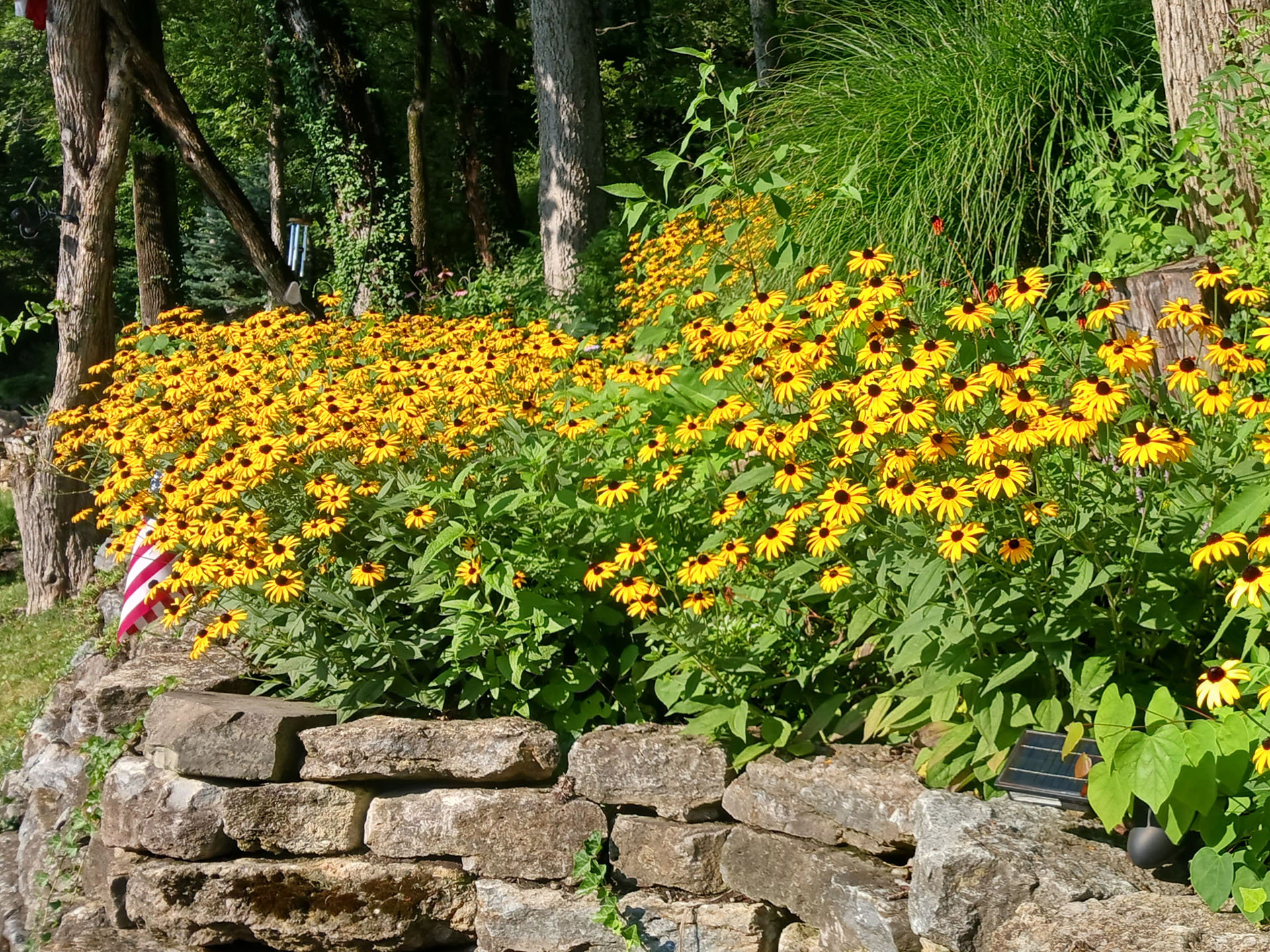 No Alt Tag Available